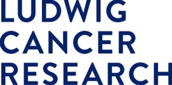 Ludwig research