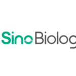 Sino-Cellbiomedicine